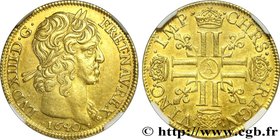 LOUIS XIII
Type : Double louis d'or à la mèche longue, à deux rubans 
Date : 1640 
Mint name / Town : Paris, Monnaie du Louvre 
Quantity minted : ...