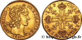 LOUIS XIII
Type : Louis d'or à la mèche courte, 1er type 
Date : 1641 
Mint name / Town : Paris, Monnaie du Louvre 
Quantity minted : 43700 
Meta...