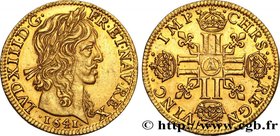 LOUIS XIII
Type : Louis d'or à la mèche longue, 2e type 
Date : 1641 
Mint name / Town : Paris, Monnaie du Louvre 
Quantity minted : 684300 
Meta...