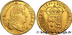 LOUIS XIV "THE SUN KING"
Type : Louis d'or dit “à l'écu”, de Béarn 
Date : 1693 
Mint name / Town : Pau 
Metal : gold 
Millesimal fineness : 917 ...