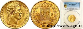 CHARLES X
Type : 20 francs or Charles X 
Date : 1827 
Mint name / Town : Paris 
Quantity minted : 154044 
Metal : gold 
Millesimal fineness : 90...