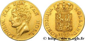 NETHERLANDS - KINGDOM OF HOLLAND - LOUIS NAPOLEON
Type : Ducat d'or, 2ème type 
Date : 1809 
Mint name / Town : Utrecht 
Quantity minted : 2370620...