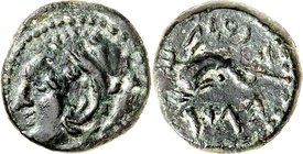 SPANIEN. 
HISPANIA ULTERIOR. 
GADES (Cadiz). AE-16mm 1. Jh. v. Chr. 3,27g. Kopf des Herakles im Löwenfell n.l. / Delphin n. l. zwischen iber. Schrif...