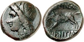SIZILIEN. 
AKRAGAS (Agrigento). 
Phintias 287-279 v. Chr. AE-20/19mm (282.279 v.Chr.) 6,55g. Kopf des Flussgottes Akragas n.l. mit Schilfkranz / BAS...