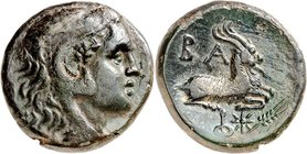 MAKEDONIEN. 
KÖNIGREICH. 
Philippos V. 221-179 v. Chr. AE-Tetrachalkon 20/19mm (188/179 v.Chr.) 8,03g. Herakleskopf n.r. / BA - F Ziegenpaar lagert ...