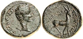 PHRYGIEN. 
APAMEIA am Mäander (Dimer). 
Tiberius 14-37. AE-Tetrachalkon 20mm unter Gaios Iulios Kallikles, 3,68g. GERMANIKOS - KAI S AP Kopf n. r. /...