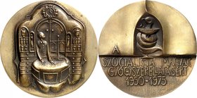 MEDIZIN u. SOZIALWESEN Slg. Dr. Bösing III. 
PHARMAZIE. 
UNGARN. Medaille 1975 \fbidis\ltrpar (v. E. Ligeti) a. 25 Jahre sozialistische ungarische P...
