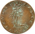 MEDIZIN u. SOZIALWESEN Slg. Dr. Bösing III. 
HEILPFLANZEN und -PILZE. 
Mäusedorn (ruscus aculeatus). Medaille 1978 (v. Anita Blum-Paulmichl). Pflanz...
