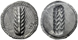  The M.L. Collection of Coins of Magna Graecia and Sicily   Metapontum  Nomos circa 540-510, AR 7.42 g. ME – TA Ear of barley. Rev. Same type, incuse....