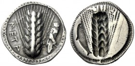  The M.L. Collection of Coins of Magna Graecia and Sicily   Metapontum  Nomos circa 530-500, AR 7.85 g. META Ear of barley; in r. field, grasshopper. ...