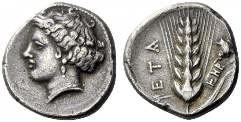  The M.L. Collection of Coins of Magna Graecia and Sicily   Metapontum  Nomos ci...
