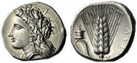  The M.L. Collection of Coins of Magna Graecia and Sicily   Metapontum  Nomos circa 330-290, AR 7.91 g. Head of Demeter l., wearing barley wreath; bel...