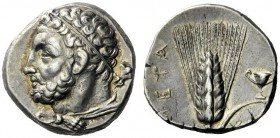  The M.L. Collection of Coins of Magna Graecia and Sicily   Metapontum  Nomos circa 290-280, AR 7.91 g. Bearded head of Heracles l., wearing taenia an...