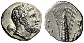  The M.L. Collection of Coins of Magna Graecia and Sicily   Metapontum  Nomos circa 290-280, AR 7.74 g. Head of Heracles r., hair bound with taenia ; ...