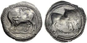  The M.L. Collection of Coins of Magna Graecia and Sicily   Sybaris  Nomos circa 550-520, AR 7.43 g. YM Bull standing l. with head reverted. Rev. The ...