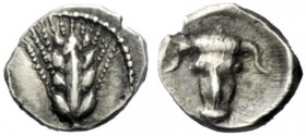  The J. FALM Collection: Miniature Masterpieces of Greek Coinage depicting Animals   Lucania, Metapontum  Obol circa 440-430, AR 0.36 g. Ear of barley...