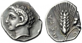  The J. FALM Collection: Miniature Masterpieces of Greek Coinage depicting Animals   Lucania, Metapontum  Diobol circa 325-275, AR 1.25 g. Head of Apo...