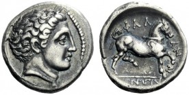  The J. FALM Collection: Miniature Masterpieces of Greek Coinage depicting Animals   Phalanna  Hemidrachm circa 360-340, AR 2.85 g. Youthful male head...