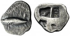  The J. FALM Collection: Miniature Masterpieces of Greek Coinage depicting Animals   Mysia, Cyzicus  Obol (?) circa 550-480, AR 0.63 g. Tunny l. Rev. ...