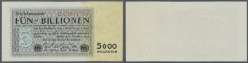 Deutsches Reich: 5 Billionen Mark 1923, Ro.127a, winzige Knickstelle am oberen Rand, minimal bestoßene Ecke oben rechts. Erhaltung: XF+ // Germany: 5 ...