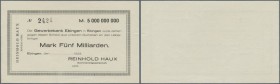 Ebingen, Reinhold Haux, 5 Mrd. Mark, mit KN, ohne Datum und Unterschrift, Scheck auf Gewerbebank Ebingen, Ausgabestelle bei Keller und Karau unbekannt...