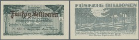 Freudenstadt und Baiersbronn, Stadtgemeinde und Gemeinde, 50 Billionen Mark, 10.11.1923, links oben 1 cm Eckknick, ansonsten Erh. I