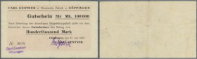 Göppingen, Chem. Fabrik Carl Gentner, 100 Tsd. Mark, 31.7.1923, Erh. III-IV