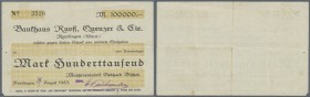 Reutlingen, Maschinenfabrik Gebhard Bischof, 100 Tsd. Mark, 24. (hschr.) 8.1923, Scheck auf Bankhaus Ruoff, Quenzer & Cie., links unten 3 mm Fehlstell...