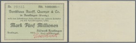 Reutlingen, Südwerk Reutlingen Rüedi & Eichenbaum, 5 Mio. Mark, o. D. (1923), Scheck auf Bankhaus Ruoff, Quenzer & Co., kleines Format, Erh. I-