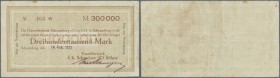 Schramberg, Emaillierwerk Ch. Schweizer & Söhne GmbH, 300 Tsd. Mark, 14.8.1923 (Datum gestempelt, bei Karau nicht aufgeführt), Erh. III