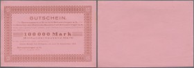 Schwenningen, Gewerbebank und Disconto-Gesellschaft, 100 Tsd. Mark, 10.8. - 10.9.1923, Kunden-Gutschein, nicht ausgefüllt, Erh. I-
