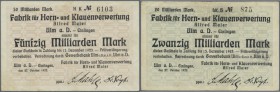Ulm - Einsingen, Fabrik für Horn- und Klauenverwertung Alfred Maier, 20 (Lit. B), 50 (HK) Mrd. Mark, 27.10.1923, Erh. III, total 2 Scheine