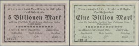 Leutkirch, Oberamtsstadt, 100, 500 Tsd., 1, 5 (3), 10 (2), 50 (4), 100 (4), 500 (2), 1, 5, 10, 50 Mrd. Mark, alle 21.8.1923, links Bild, markante Farb...