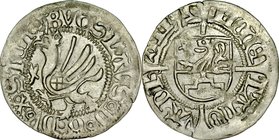 Pomorze, Bogusław X 1478-1523, Szeląg 1492, Dąbie.
