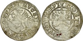 Pomorze, Bogusław X 1478-1523, Szeląg 1497, Dąbie.