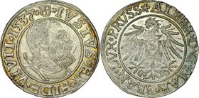 Prusy Książęce, Albrecht Hohenzollern 1525-1568, Grosz 1537, Królewiec.