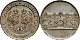 Medal autorstwa Schapira wybity na pamiątkę Krajowej Wystawy Rolniczej i Przemysłowej we Lwowie w 1877 roku.