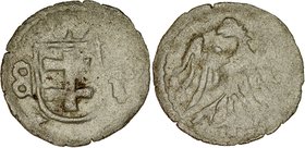 Władysław Jagiełło 1386-1434, Denar b.d, Wschowa, Av.: Duży herb miasta Wschowy w tarczy, nad nim litera W, po bokach liter, Rv.: Orzeł jagielloński....