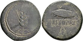 SPAIN. Ilipense. 2nd century BC. As (Bronze, 31 mm, 19.87 g, 9 h). Grain ear. Rev. Fish with crescent above; below, ILIPENSE between two lines; below,...