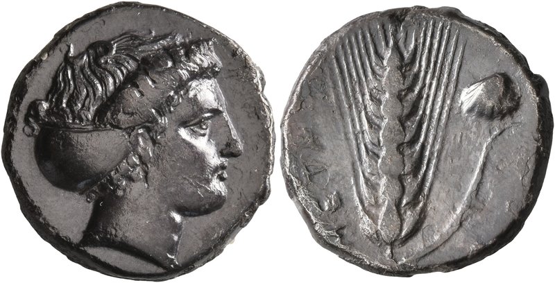 LUCANIA. Metapontion. Circa 400-340 BC. Didrachm or Nomos (Silver, 19 mm, 7.45 g...