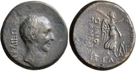BITHYNIA. Nicaea. Julius Caesar, 49-44 BC. Assarion (Orichalcum, 22 mm, 8.06 g, 12 h), C. Vibius Pansa Caetronianus, proconsul and governor of Bithyni...