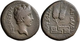 PHRYGIA. Apameia. Augustus, 27 BC-AD 14. Assarion (Bronze, 23 mm, 6.12 g, 5 h), Attalos, son of Diotrephos, magistrate. AΠAMEΩN Bare head of Augustus ...