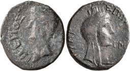 GALATIA. Koinon of Galatia. Tiberius, 14-37. Assarion (Bronze, 20 mm, 5.52 g, 1 h), Priscus, legatus augusti, CY 43 = 18 or 21-23. TIBEPIOΣ KAIΣAP Bar...