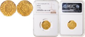 Gold Gulden Louis II of Hungary (1516 - 1526), 1523, G, Lend. 130/1/1523

about UNC | about UNC , RRR! NGC MS 62
