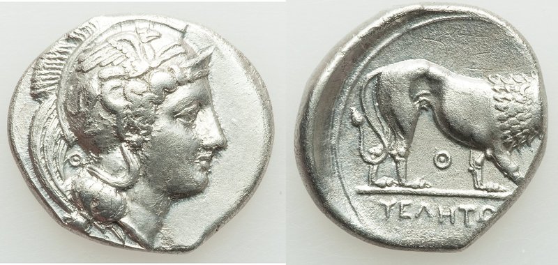 LUCANIA. Velia. Ca. 340-334 BC. AR didrachm or nomos (22mm, 7.48 gm, 1h). Choice...
