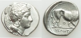 LUCANIA. Velia. Ca. 340-334 BC. AR didrachm or nomos (22mm, 7.48 gm, 1h). Choice XF, brushed. Fifth Period, Theta group. Head of Athena right wearing ...