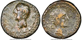 SYRIA. Chalcis ad Libanum. Zenodorus, with Octavian (30-20 BC). AE (20mm, 1h). NGC VF. Dated Seleucid Era 282 (32/1 BC). Bare head of Augustus right; ...