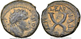 SYRIA. Decapolis. Gadara. Titus, as Caesar (AD 79-81). AE (17mm, 12h). NGC VF, repatinated. Dated year 137 (AD 73/4). TITOC-KAICAP, laureate head of T...