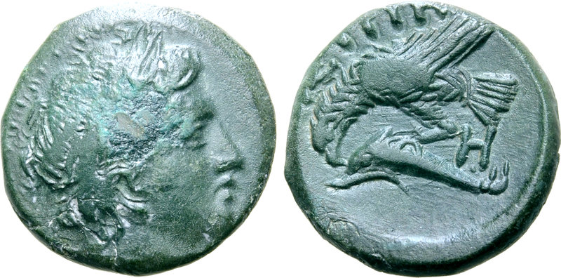 Moesia, Istros Æ16. Circa 350-339 BC. Laureate head of Apollo right / Sea-eagle ...