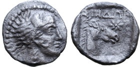 Cimmerian Bosporos, Gorgippia as Sindikos Limen (or the Sindoi) AR Hemidrachm.